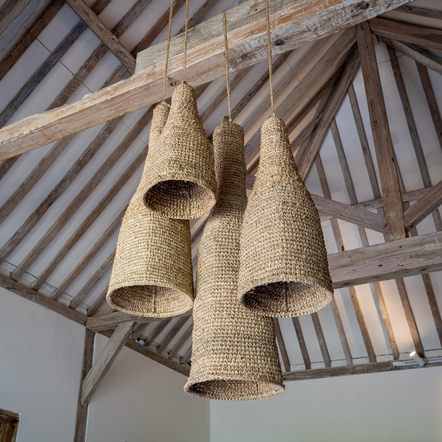 Sisal Pendant - Wasp House